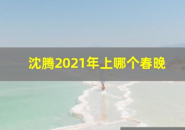 沈腾2021年上哪个春晚