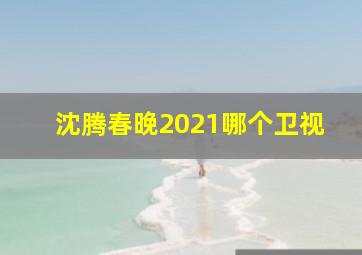 沈腾春晚2021哪个卫视