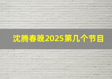 沈腾春晚2025第几个节目