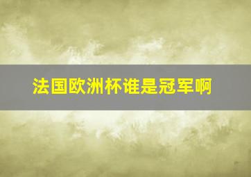 法国欧洲杯谁是冠军啊