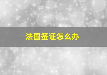 法国签证怎么办