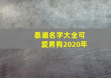 泰迪名字大全可爱男狗2020年