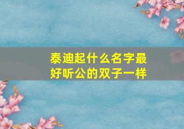 泰迪起什么名字最好听公的双子一样