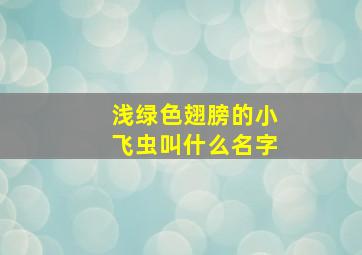 浅绿色翅膀的小飞虫叫什么名字