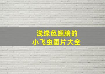 浅绿色翅膀的小飞虫图片大全