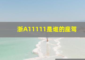 浙A11111是谁的座驾