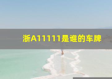 浙A11111是谁的车牌