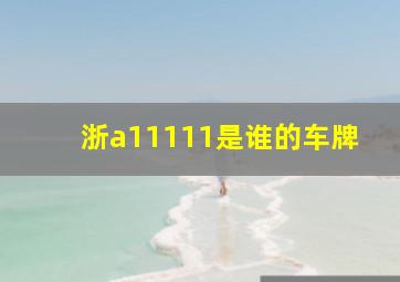 浙a11111是谁的车牌