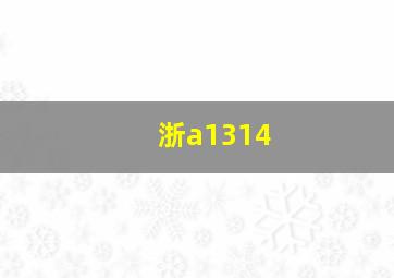 浙a1314