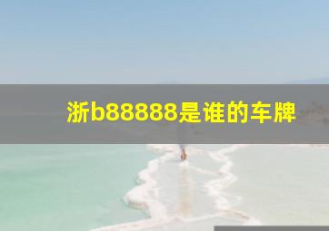 浙b88888是谁的车牌