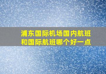 浦东国际机场国内航班和国际航班哪个好一点