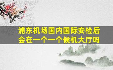 浦东机场国内国际安检后会在一个一个候机大厅吗