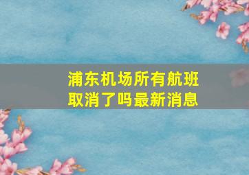 浦东机场所有航班取消了吗最新消息