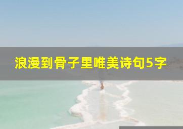 浪漫到骨子里唯美诗句5字