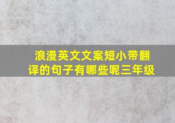 浪漫英文文案短小带翻译的句子有哪些呢三年级