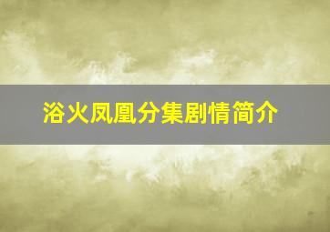 浴火凤凰分集剧情简介