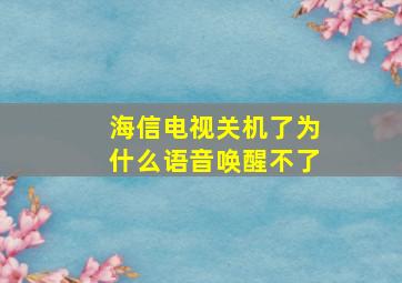 海信电视关机了为什么语音唤醒不了