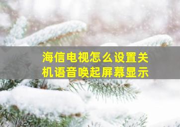 海信电视怎么设置关机语音唤起屏幕显示