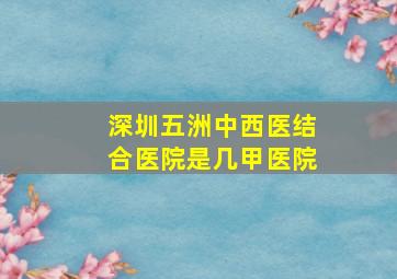 深圳五洲中西医结合医院是几甲医院