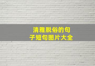 清雅脱俗的句子短句图片大全