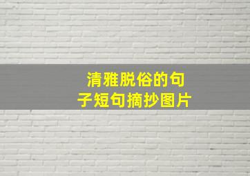 清雅脱俗的句子短句摘抄图片