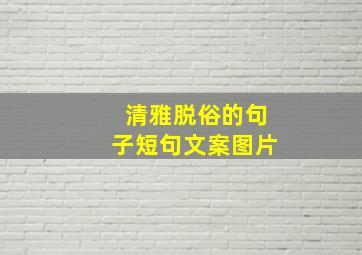 清雅脱俗的句子短句文案图片