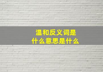 温和反义词是什么意思是什么