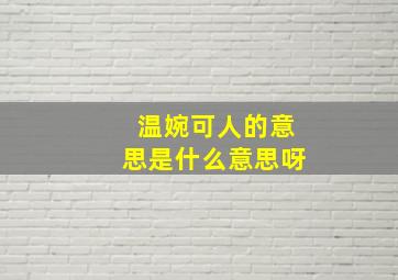 温婉可人的意思是什么意思呀