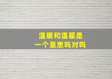 温暖和温馨是一个意思吗对吗