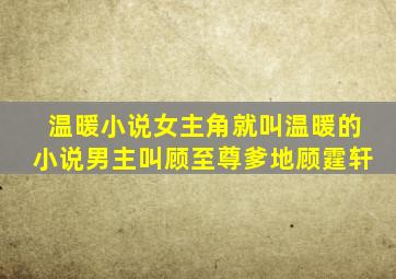 温暖小说女主角就叫温暖的小说男主叫顾至尊爹地顾霆轩