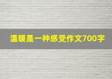 温暖是一种感受作文700字