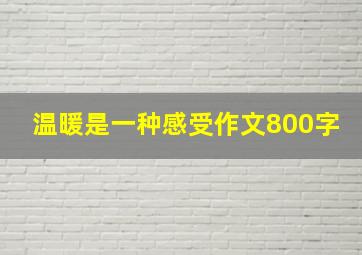 温暖是一种感受作文800字