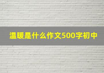 温暖是什么作文500字初中