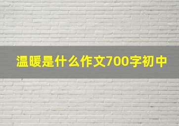 温暖是什么作文700字初中