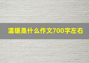 温暖是什么作文700字左右