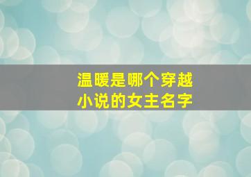 温暖是哪个穿越小说的女主名字