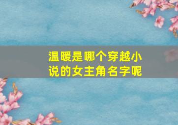 温暖是哪个穿越小说的女主角名字呢