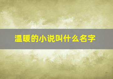 温暖的小说叫什么名字