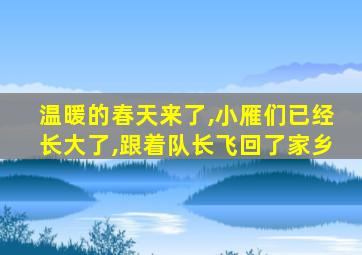 温暖的春天来了,小雁们已经长大了,跟着队长飞回了家乡