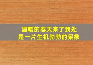 温暖的春天来了到处是一片生机勃勃的景象