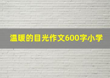 温暖的目光作文600字小学