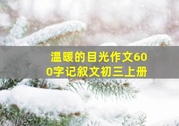 温暖的目光作文600字记叙文初三上册