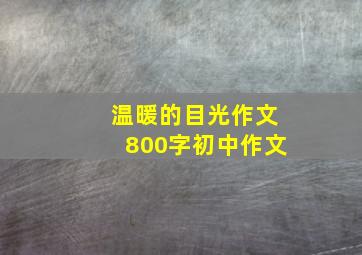 温暖的目光作文800字初中作文