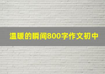 温暖的瞬间800字作文初中