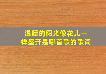 温暖的阳光像花儿一样盛开是哪首歌的歌词