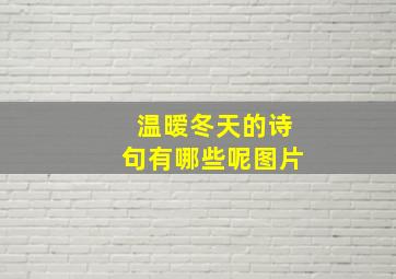 温暧冬天的诗句有哪些呢图片