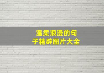 温柔浪漫的句子精辟图片大全