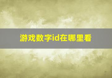 游戏数字id在哪里看