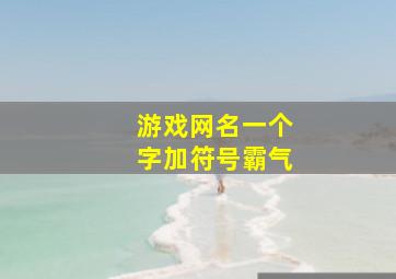 游戏网名一个字加符号霸气