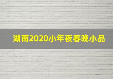 湖南2020小年夜春晚小品